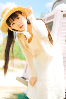 完美的妻子